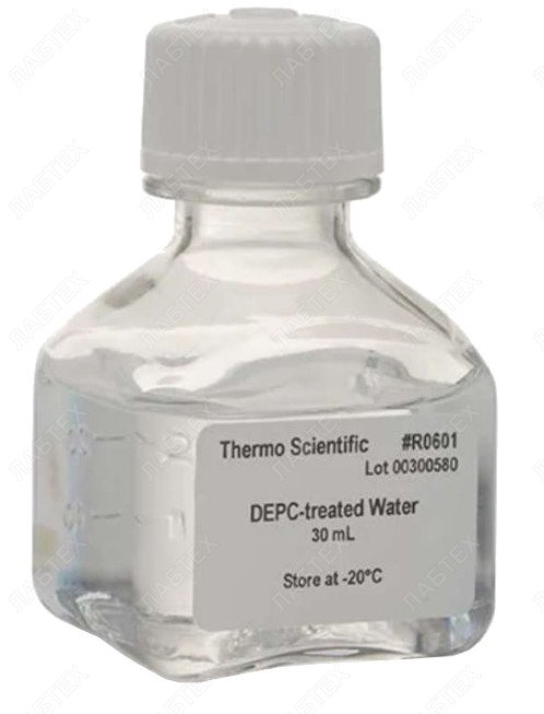 Вода без нуклеаз, Thermo Fisher Scientific R0603