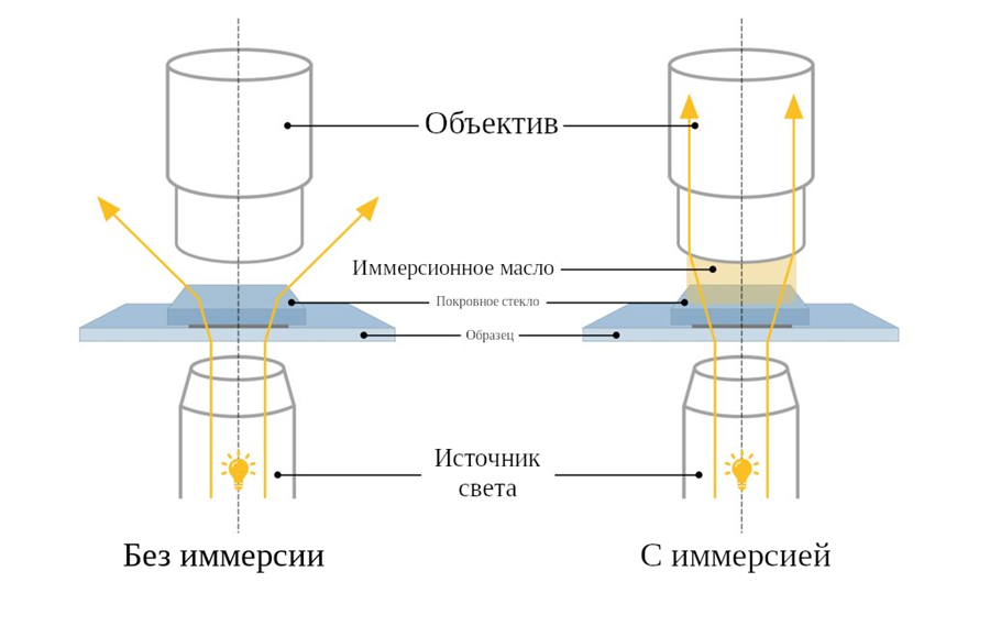 Иммерсионный объектив Иммерсионный объектив