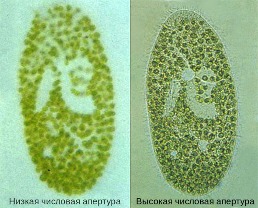 Высокая и низкая числовая апертура