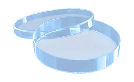 Чашка Петри